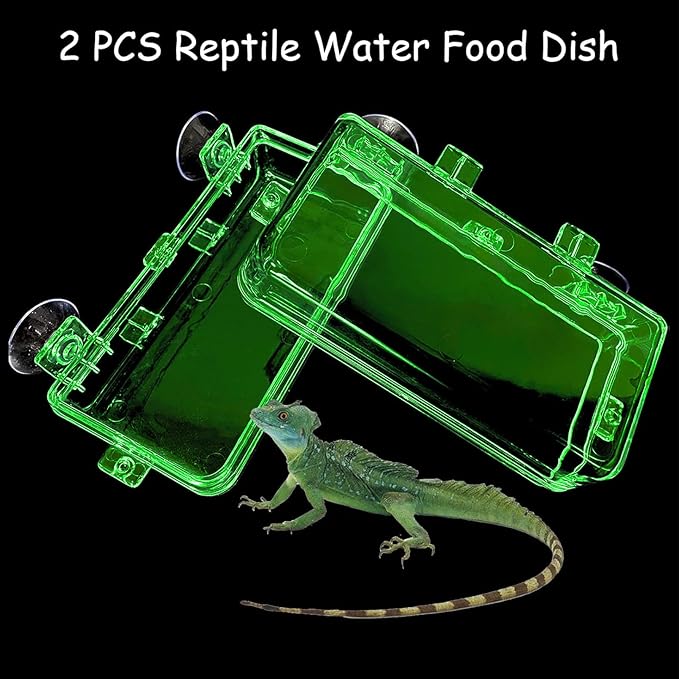Tfwadmx 2 Pcs Reptile Feeder Chameleon Bowl Water Dish with Suction Cup Gecko Worm Feeder Anti-Escape Chameleon Supplies Accessories for Iguana Lizard Bearded Dragon Snakes （Green,L）