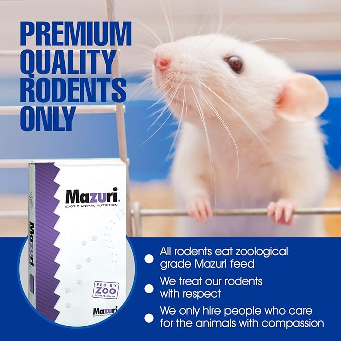 MiceDirect 80 Frozen Mice Combo Pack of 40 Weanlings and 40 Small Adult Feeders Snake Food for Mice for Adult Sand Boa Corn Milk Snakes (2-3 in)(Pack of 80)(1280 Grams Min)