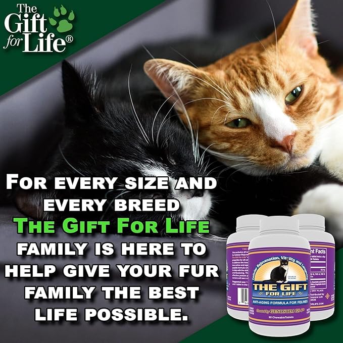 Feline Peptides, Peptides for Cats, Life Extending Cat Supplement, Immune Supplement, Joint Supplement, Skin and Coat Supplement for Cats, 60 Tablets