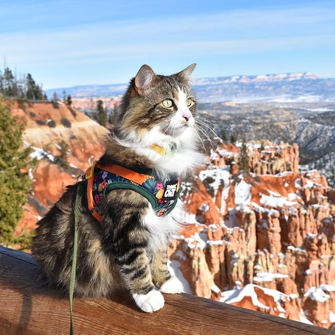 Travel Cat Harness and Leash Set - Adjustable Fit Mesh Cat Harness and Reflective Strap - Comfort Walking Vest for Kitten for Outdoor Walking, Hiking (Large, Hawaiian)