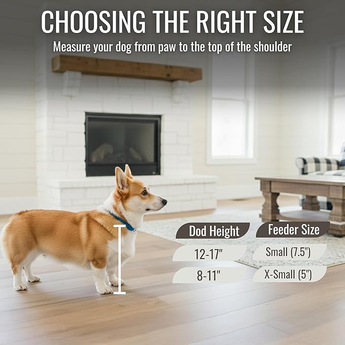 GrooveThis Woodshop Luxury Pet Feeder - Elevated Stand with Stainless Steel Bowls for Small Dogs & Cats, Anti-Slip, Easy Clean, Chic & Durable Design (Tilted, Dark Walnut)