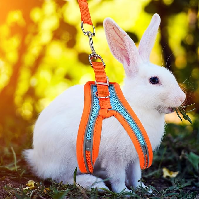 2 Pack Rabbit Harness and Leash Set, Double Buckle Bunny Harness with Reflective Strips Soft Breathable Mesh Vest Harness for Rabbits Walks Accessories