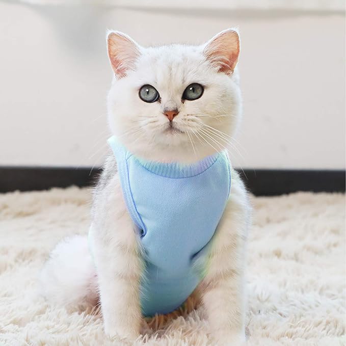 Kitten Onesies, Cat Recovery Suit for Abdominal Wounds or Skin Diseases, After Surgery Wear Anti Licking Wounds, Breathable Great E-Collar Alternative for Cat Blue S