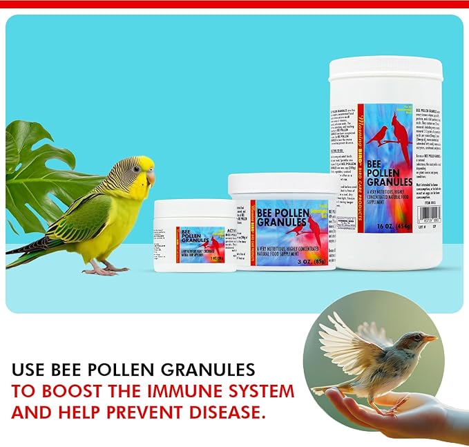 Morning Bird Bee Pollen Granules 16 Oz – Naturally Immune Support & Protein Powder for Birds – Boosts Strength, Feather Health & Energy Supplements – Easy to Mix with Food for All Bird Types
