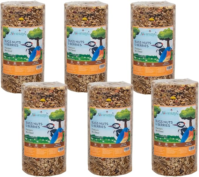 JCs Wildlife Premium Bird Seed Small Cylinder with Hole (Bugs, Nuts, & Berries)