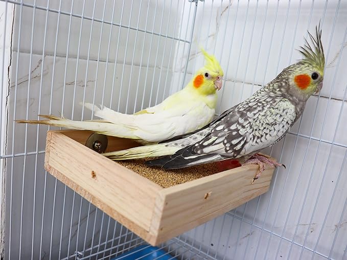 Bird Feeding Cups, Natural Wooden Parrot Perch Stand, Birds Food Dish, Parakeets Feeder Bowl, Cage Accessories for Small Animals Rat Hamster Guinea Pig Chinchillas Budgies Cockatiels Love Birds