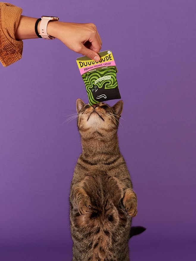 Blue Q Duuuuuuude Catnip Cat Toy. Premium Organic Catnip Grown in The USA, 100% Cotton Pouches, Kitty Graphics Sure to Delight Every Cat-Keeper.