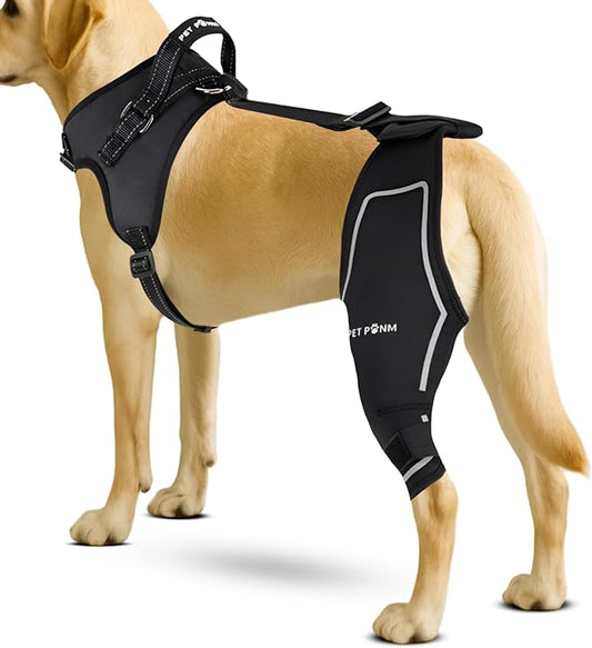 Dog ACL Knee Brace for Back Left Leg - with Integrated Harness - for Cruciate Ligament Injuries, Patellar Luxation, Post-Surgery Recovery. Durable, Breathable Material, Eases Pain - (Small)