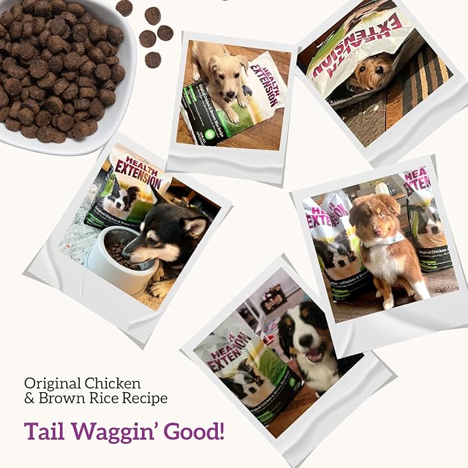 Health Extension Original Chicken & Brown Rice, Protein Packed Formula with Probiotics & Superfoods for Digestion & Coat Health (40 lb Bag)