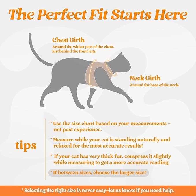 rabbitgoo Cat Harness and Leash Set for Walking Escape Proof, Adjustable Soft Kittens Vest with Reflective Strip for Cats, Comfortable Outdoor Vest,Light Orange,S