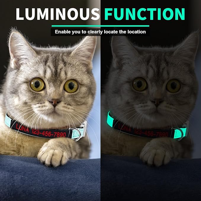 Personalized Nylon Cat Collar Breakaway with Bell, Custom Glow in The Dark ID Collar with Embroidered Name and Phone Number (Glow in The Dark)