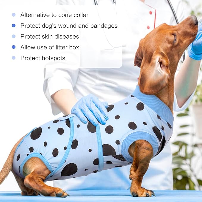 Kuoser Dog Surgery Recovery Suit, Anti Licking Pet Surgical Suit for Dogs Male Neuter, Female Dog Surgery Suit for Spay Subsititute E-Collar Cone, Dogs Body Suits After Surgery Blue Polka Dot 2XL