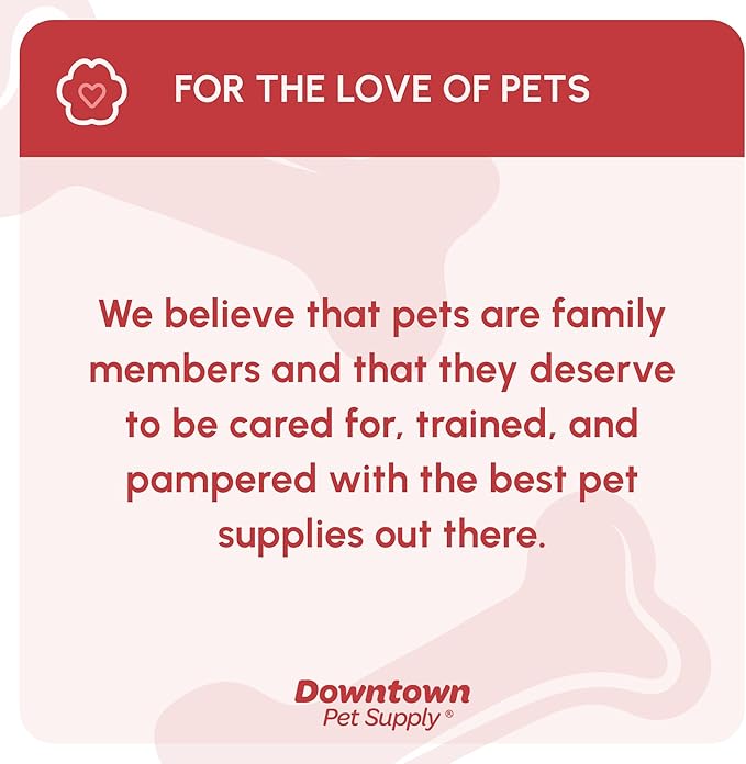 My Doggy Place Microfiber Dog Mat for Muddy Paws, 31" x 20" Charcoal - Absorbent and Quick-Drying Dog Paw Cleaning Mat, Washer and Dryer Safe - Non-Slip Rubber Backed Dog Floor Mat, Medium