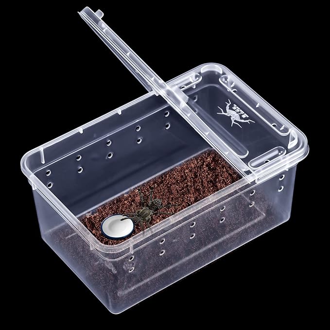 Irenare 8 Pcs Reptile Breeding Breeding Box Plastic Spider Terrarium Tarantula Feeding Box for Bearded Dragon Lizard Spider Gecko Scorpion(Vent Holes,5.9 x 3.9 x 2.5 Inch)