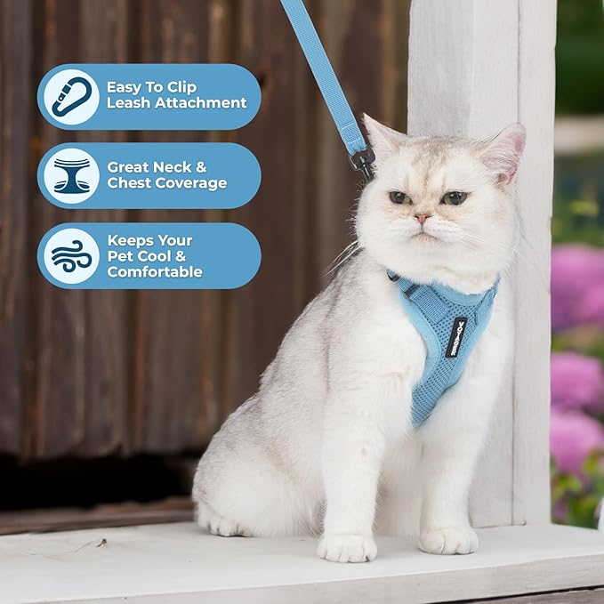 Voyager Step-in Lock Adjustable Cat Harness w. Cat Leash Combo Set with Neoprene Handle 5ft - Supports Small, Medium and Large Breed Cats by Best Pet Supplies - Baby Blue, XS