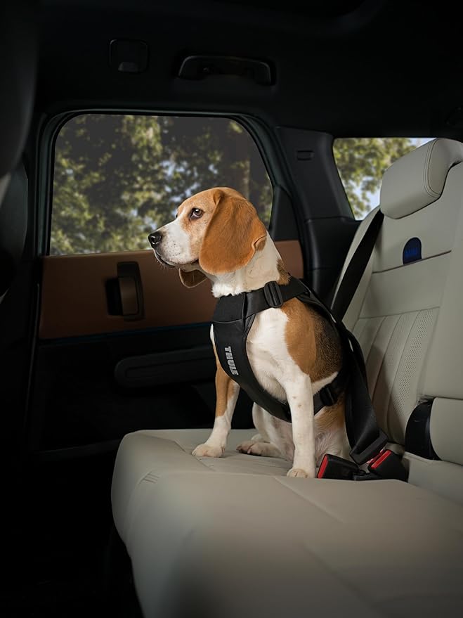 Thule Cappy Dog Harness M - Crash-Tested for Safety - Seatbelt passthrough - Adjustable & Easy to Clean - Padded Breathable mesh Panels - Leash Loop - Step-in Design