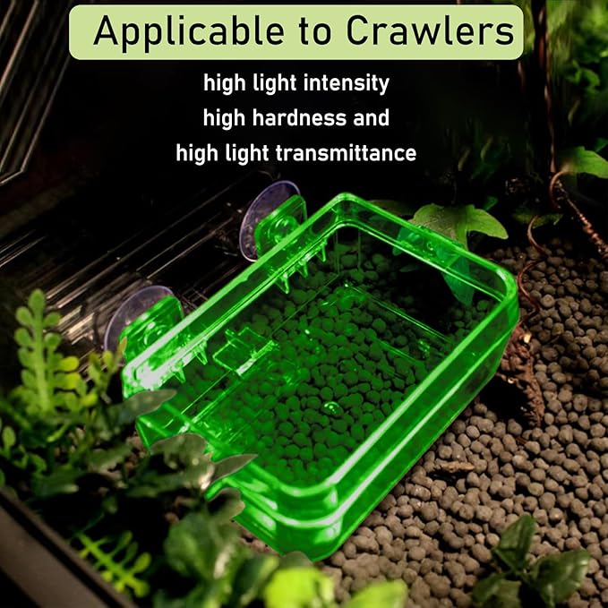 Tfwadmx 2 Pcs Reptile Feeder Chameleon Bowl Water Dish with Suction Cup Gecko Worm Feeder Anti-Escape Chameleon Supplies Accessories for Iguana Lizard Bearded Dragon Snakes （Green,S）