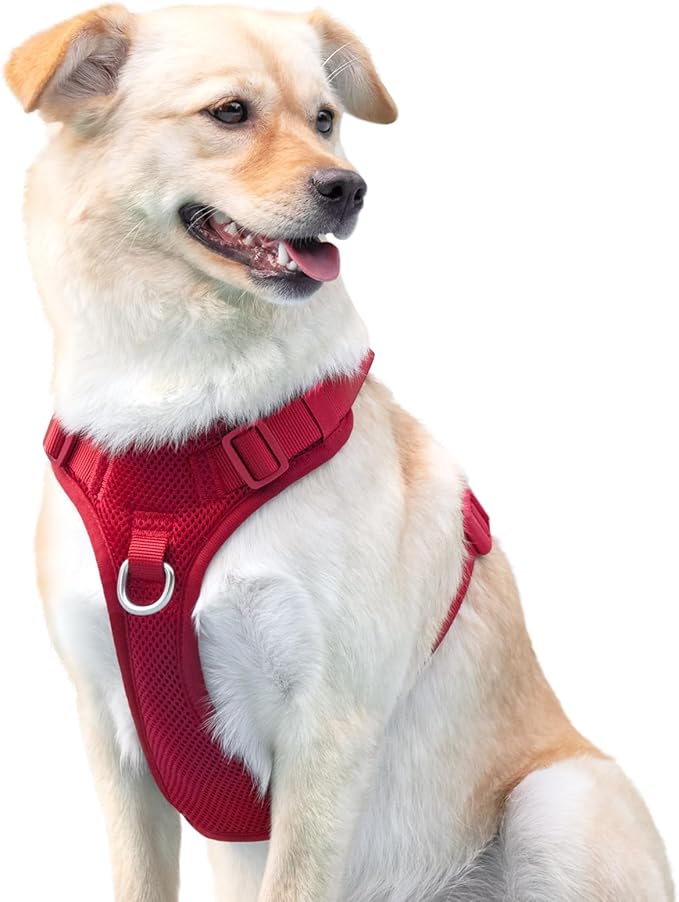 No Pull Dog Harness for Small Medium Large Dogs - Adjustable Two-Layer Mesh Dog Vest with Dual Clip, Escape Proof, Quick Release, Lightweight Breathable Mesh for Walking Hiking (Burgundy Red,L)