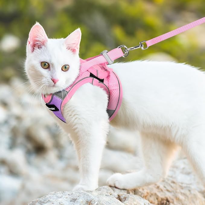 Dooradar Cat Harness and Leash Set, Escape Proof Lightweight Kitten Harness, Soft Breathable Reflective Vest for Outdoor Walking Traveling, Adjustable for Small Cats, Purple & Pink, S