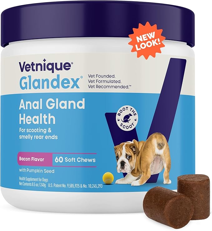 Vetnique Glandex Anal Gland Soft Chew Treats with Pumpkin for Dogs Digestive Enzymes, Probiotics Fiber Supplement for Dogs Boot The Scoot (Bacon Flavor Chews, 60 Count)