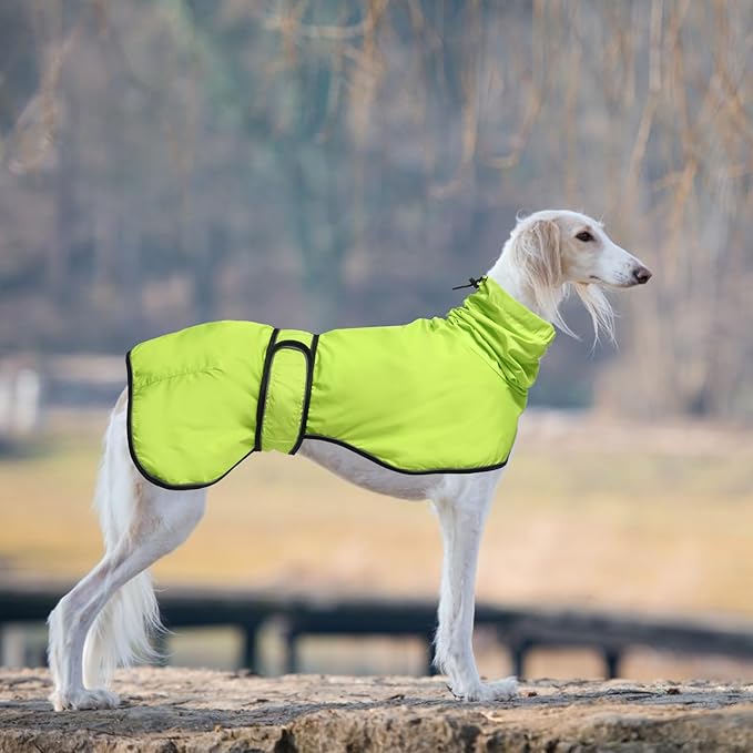Dog Raincoat with Reflective Bar, Rain/Water Resistant, Adjustable Vest - Dog Raincoats for Greyhounds, Lurchers and Whippets - Light Green - XXL