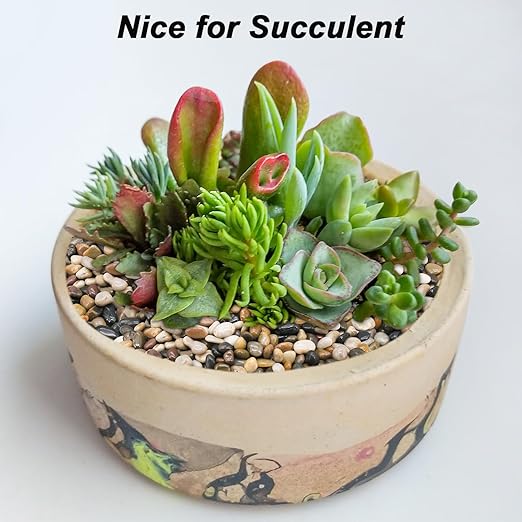 Decorative Rocks for Potted Plants,Virekm River Rocks, Decorative Ornamental Pebbles,Garden Landscaping Stones Gravel Filler for Home Decoration Flower Bed Fish Tank Plants Vases Succulents (5 Pounds)