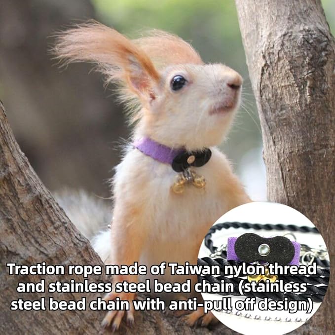 Squirrel Chipmunk Traction Rope Strap Anti-Biting Chain Rope, Small Animal Walking Collar Harness with Lead Leash for Hamster Gerbil Rat Mouse Ferret Chinchilla (Blue)