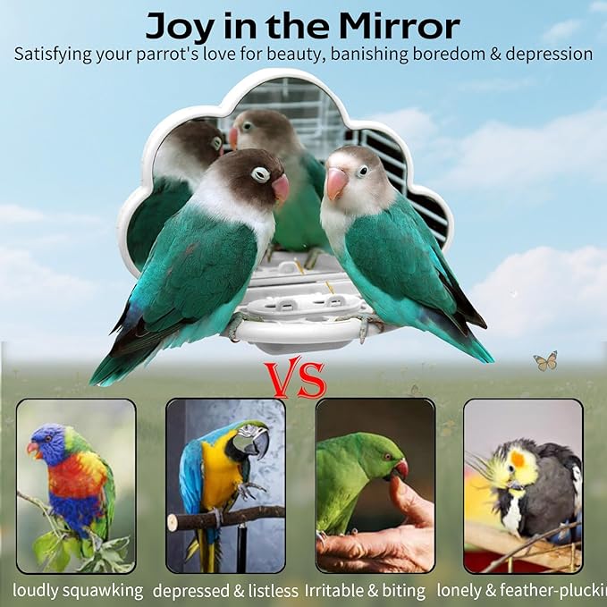 Bird Mirror with Perch & Slow Feeder – Interactive Bird Toy, Birds Cage Accessories for Parakeet, Budgies, Cockatiels, Conures, Lovebird, Finches & Canary – Relieve Boredom-White