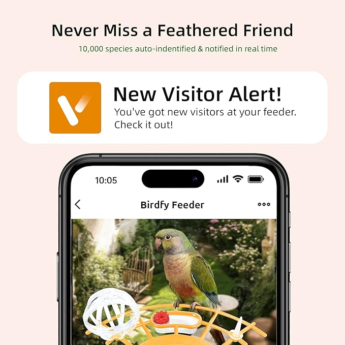 Bird Feeder with Camera, Smart Bird Cam with AI Identify BirdSpecies, Auto Record BirdVideo, Instant Notifications, 2K Video Live Stream Camera with Solar Panel for Birds Lover