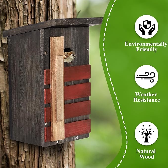 Bluebird House for Outside, Bird House DIY Assembly Kit, Birdhouses for Outdoors Clearance, Roosting & Nesting Boxes for Robins, Finches and Small Garden Birds