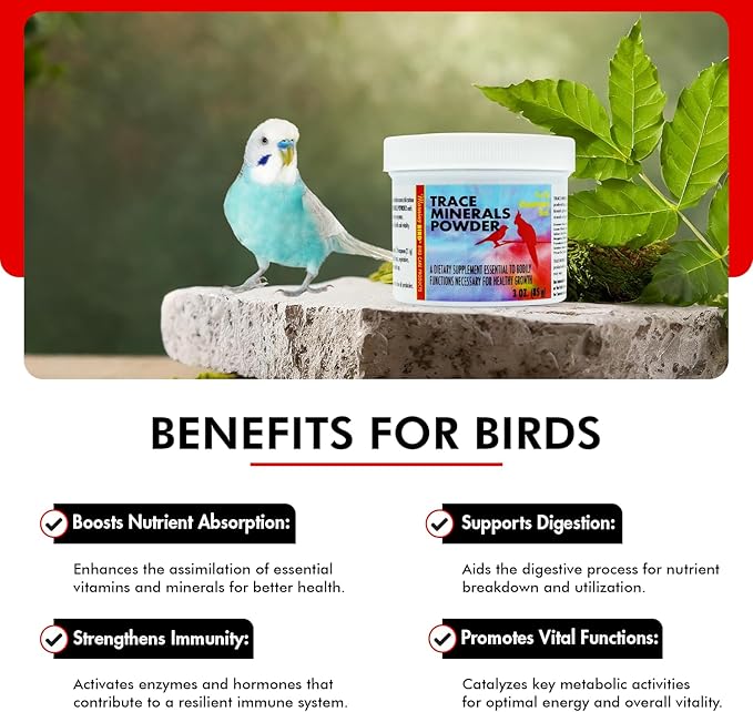 Morning Bird Trace Minerals Powder 3 Oz – Complete Mineral Supplement for Birds – Promotes Energy, Metabolism & Enzyme Activity – Easy to Mix for Daily Vitamin Support.