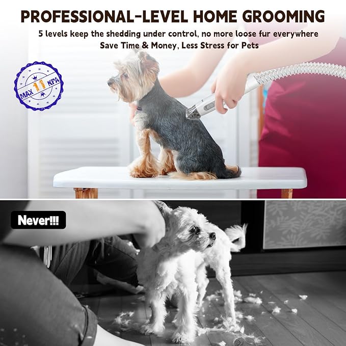 Dog Grooming Vacuum & Kit, 15 Pet Grooming Tools, Max 11 Kpa, 2 L Capacity, Pet Groomer for Dogs/Cats/Home