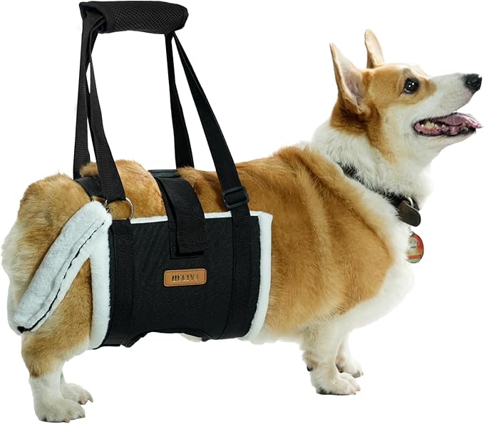 Dog Lift Harness Sling for Medium Dogs - Adjustable No-Slip Rear Leg Support with Padding & Back Fixed Buckle, Hip Dysplasia/ACL/TPLO Surgery Recovery Aid, Dog Sling for Injured,Disabled/Senior Dogs