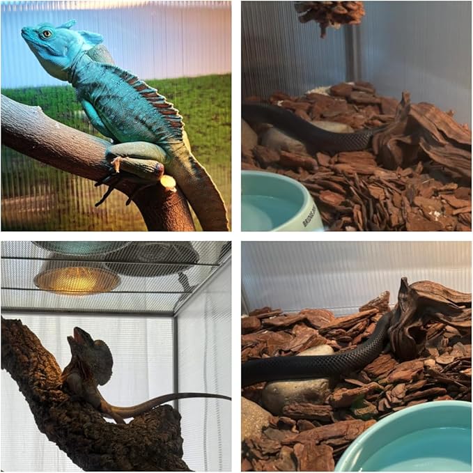 50 Gallon Bearded Dragon Tank, 36"x18"x18" (3x1.5x1.5 ft) Reptile Terrarium, Medium Reptile Enclosure with Aluminum Frame, Mesh Top, Lock Doors