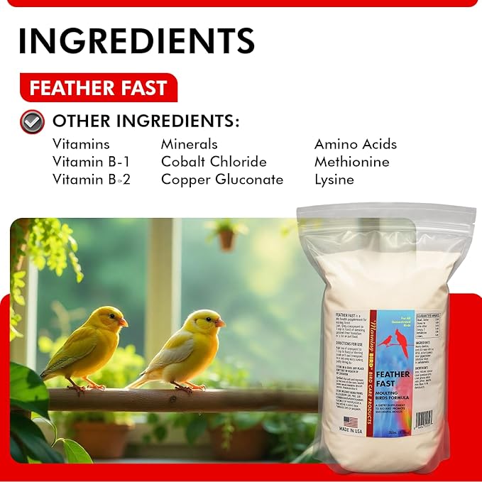 Morning Bird Feather Fast 3 lbs – Multi-Vitamin During Molt - Molting Support Supplement for Bird – Amino Acid & Vitamin Powder Formula– Promotes Feather Growth, and Full Plumage – for All Adult Birds