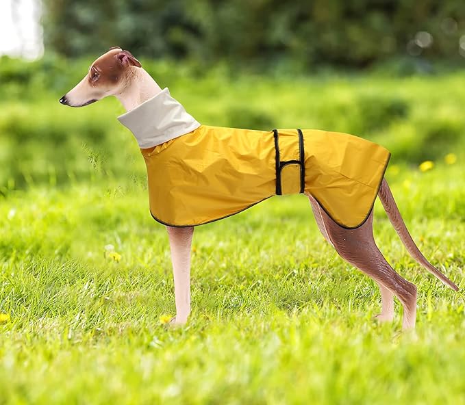 Dog Raincoat with Reflective Bar, Rain/Water Resistant, Adjustable Vest - Dog Raincoats for Greyhounds, Lurchers and Whippets - Yellow - XL