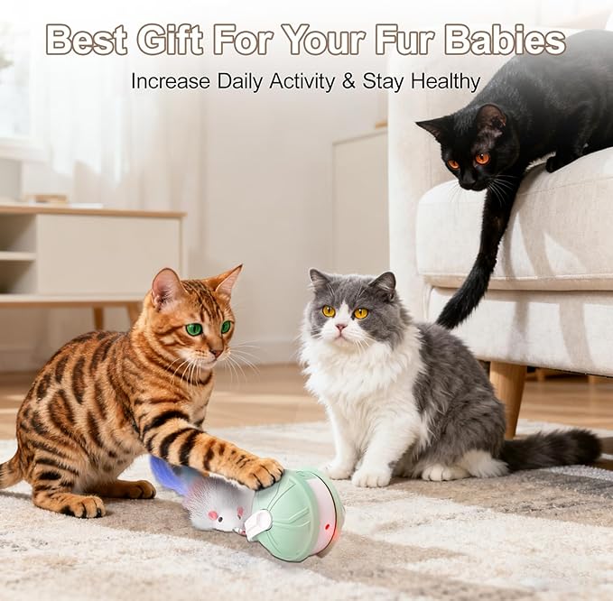 Interactive Cat Toy Ball - 2-in-1 Indoor Cat Toy with Feather Attachment and Laser Interactive Cats Balls, Moving Electric Rolling Ball Toys Designed for Bored Kittens and Adult Cats