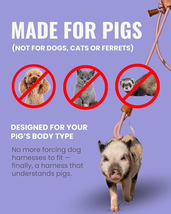 PORCINE® Mini Pig Harness & Leash – Fully Adjustable Step-in Harness with Infinity-Style Lead - Ideal for Small & Medium Potbelly Pigs – Durable, Comfortable, Easy-On Easy-Off (Small Eggshell Blue)