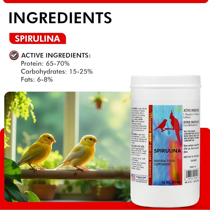 Morning Bird Spirulina, Supplement for Caged Birds, Organic Bird Food Supplement with Vitamins, Proteins, and Amino Acids for Parakeets, Cockatiels, Budgies, Finches, Canaries, and Parrots, 16 oz