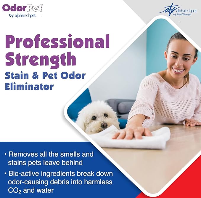 OdorPet Pet Stain Remover and Odor Eliminator - 64 Oz (Makes 2.55 Gallons of Working Solution) Non Staining, Professional Strength, Black Cherry Scent by Alpha Tech Pet
