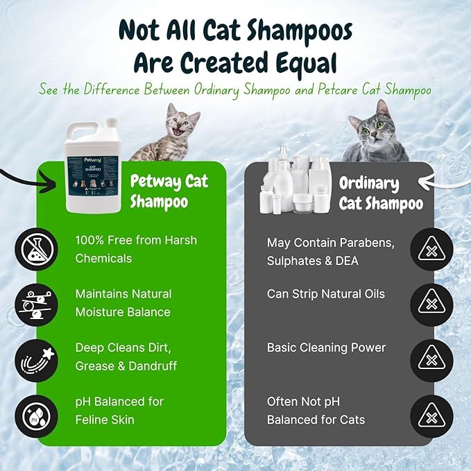 Petway Petcare Cat Shampoo, Natural Dandruff Shampoo, pH Balanced Cat Grooming Supplies with Plant-Derived Surfactant, Free of DEA, Phosphates, Parabens & Enzymes, Removes Dandruff, Oil & Dirt, 5 L