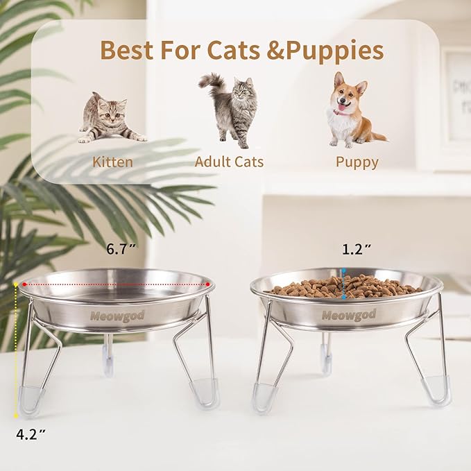 Cat Bowls,6.7" Extra Wide Stainless Steel Cat Food Bowls Whisker Friendly Water Dishes Plates for Cats and Small Dogs Good for Wet and Dry Food(2pack)