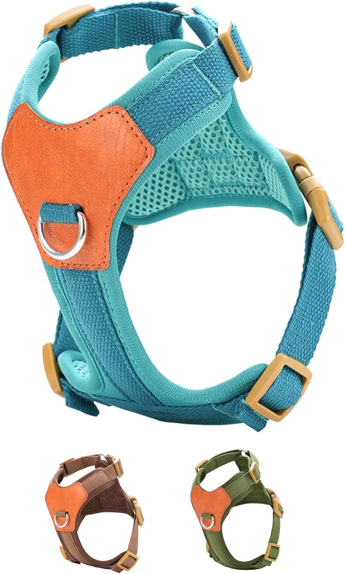 Blue Small No Pull Dog Harness for Small Dogs, Anti-Escape Easy Walk Puppy Harness with 2 Leash Clips, Adjustable Dog Vest Harness for Training Walking(Blue, S)