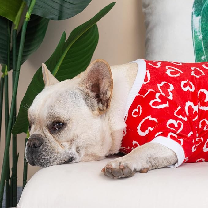 CuteBone Small Dogs Valentines Outfit Soft Puppy Onesies Pjs Dog Pajamas Pet Coat Cat Apparel Comfy Doggie Jumpsuit Bodysuit for All Seasons P202L