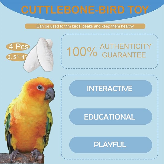 Jmxu's 3.5"-4" Cuttlebone for Birds Parakeets, Cuddle Bone with Metal Clip, Cuttlefish Bone for Sharp Beaks, Natural Birds Calcium for Parrots Cockatiels Tortoises, 4 Pcs