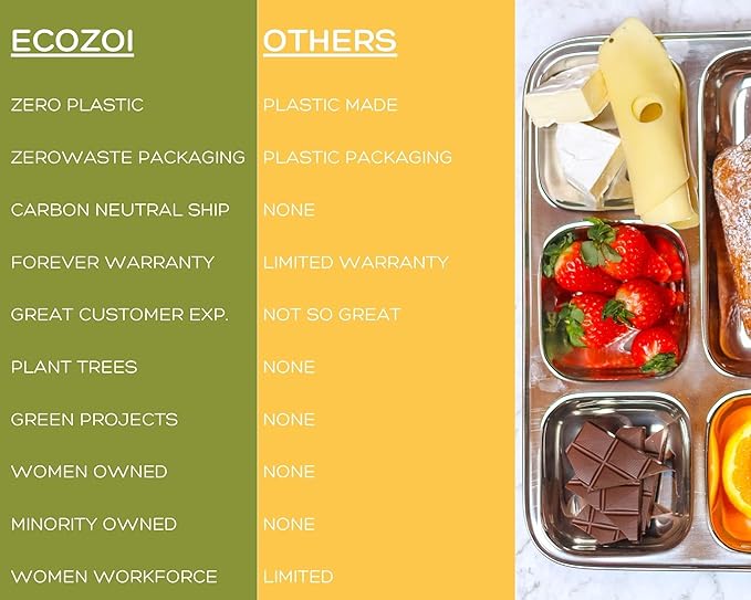 Extra Large Premium Stainless Steel Dinner Plates, 5 Compartments, Set of 2 | Eco Friendly Dinnerwear for Camping, Portion Control, Meal Prep, Lunch, and Party