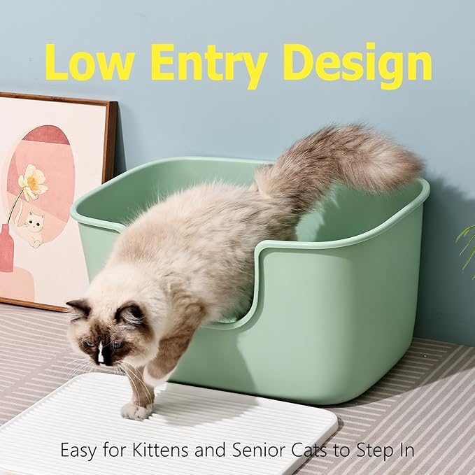 SpaceTime Extra Large Litter Box with High Sides,XL Low Entry Multi Cat Litter Pan for Kittens,Jumbo Litter Boxes for Big Cats,Anti-Splashing Cat Boxes for Indoor Cats,Easy to Clean (Light Green)