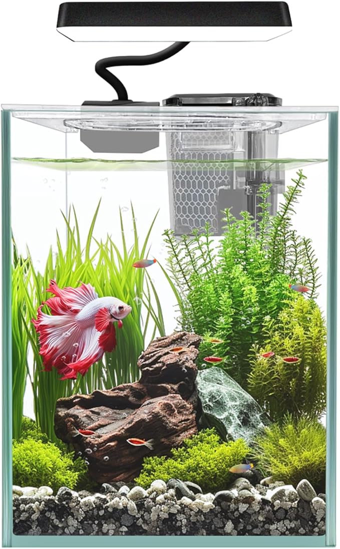 Ultra White Glass Betta Aquarium Starter Kits 1.5 Gallon Small Fish Tank, Betta Fish Tank with LED Light, Power Filter, 4mm Glass