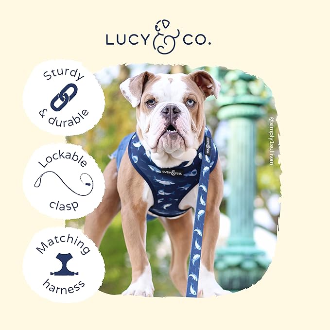 Lucy & Co. 5 Foot Designer Dog Leash - Best for Big, Small, or Medium Dogs - Puppy Leash - Shark Attack Pattern