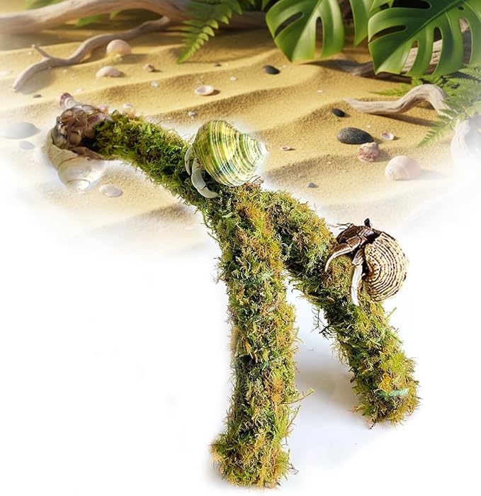 Duspro Hermit Crab Climbing Toys – Y Shaped Flexible Moss Pole Wrapped in Soft Yarn and Forest Moss, Hermit Crab Accessories and Easy-to-Use Hermit Crabs Supplies – Perfect for Climbing (12 inches)